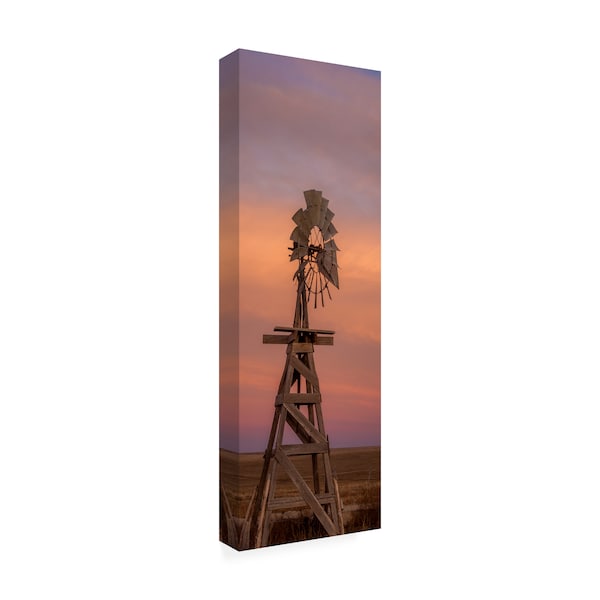 Dan Ballard 'Windmill 8' Canvas Art,10x32